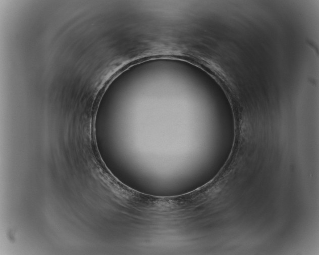 X0000100221220200806061337