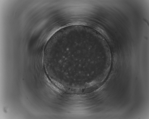 X0000100221228200806061337