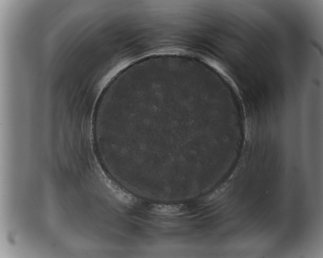 X0000100221229200806061337