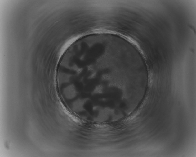 X0000100221231200806061337