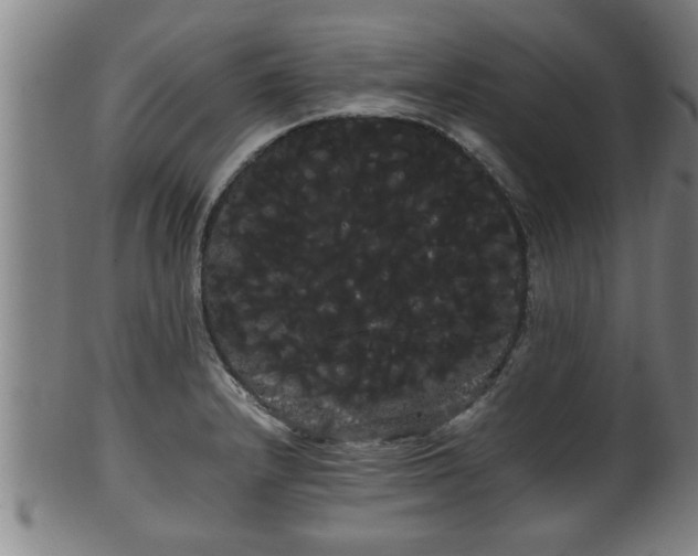 X0000100221232200806061337