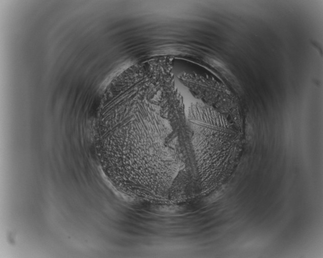 X0000100221233200806061337