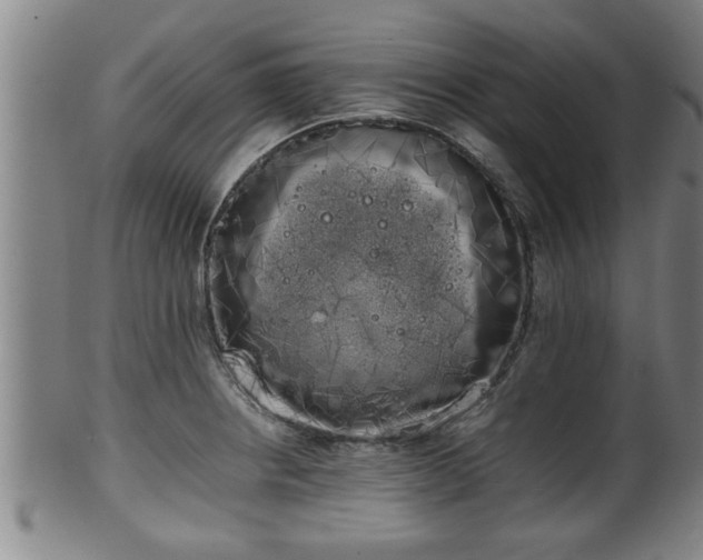 X0000100221234200806061337