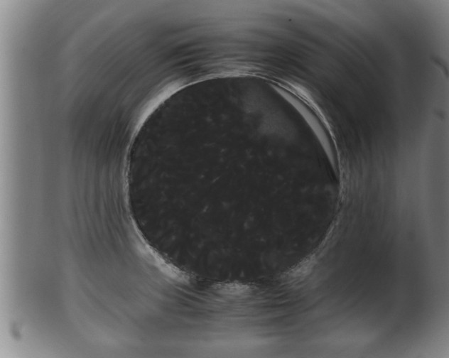 X0000100221235200806061337