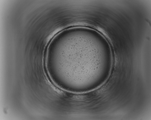 X0000100221237200806061337