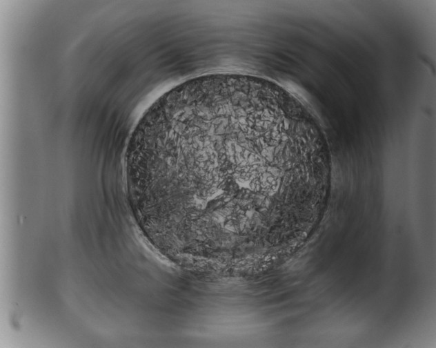X0000100221238200806061337