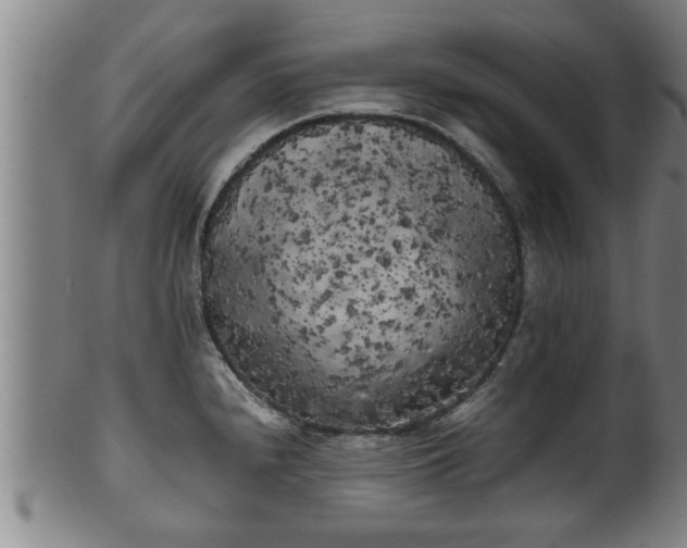 X0000100221240200806061337