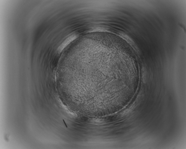 X0000100221241200806061337
