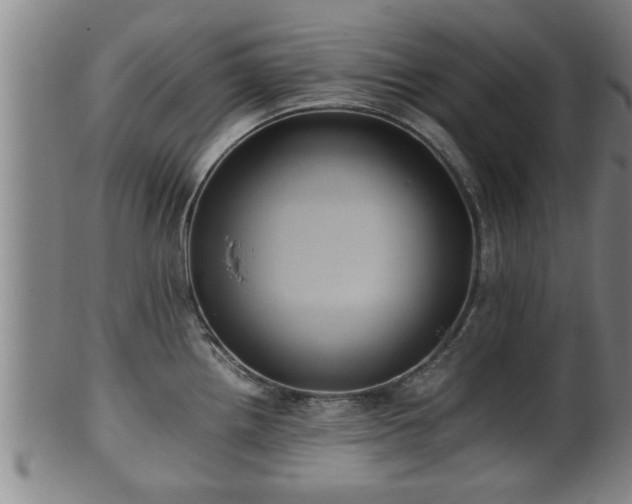 X0000100221242200806061337