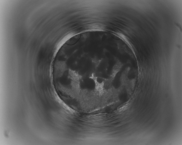 X0000100221243200806061337