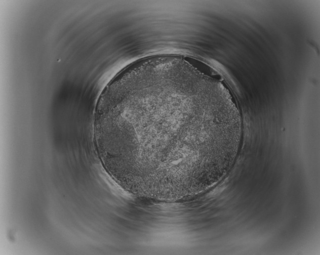 X0000100221244200806061337