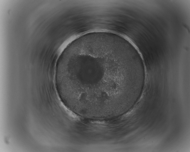 X0000100221245200806061337