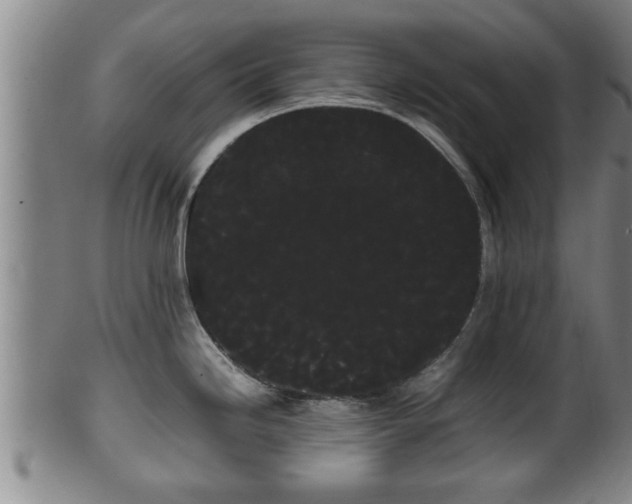 X0000100221246200806061337