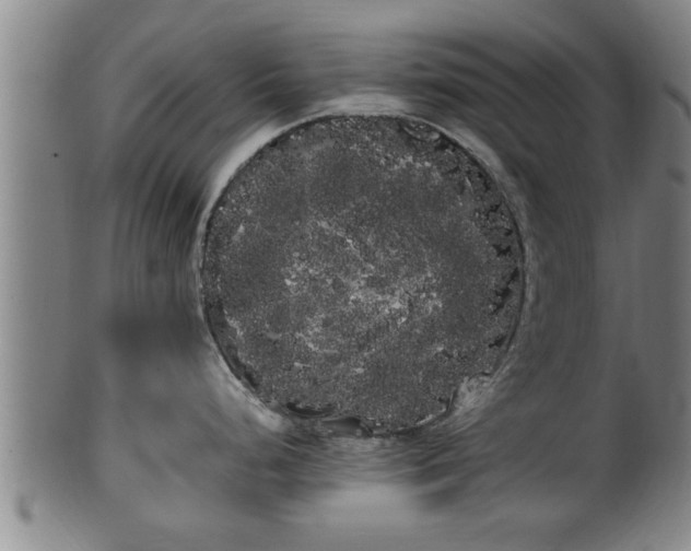 X0000100221248200806061337