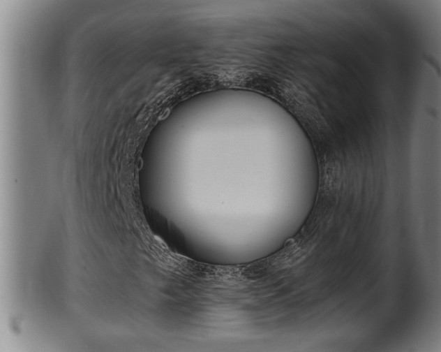 X0000100221249200806061336