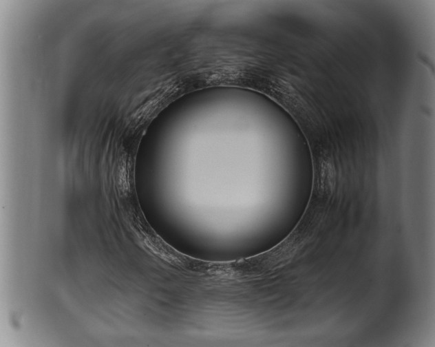 X0000100221250200806061336