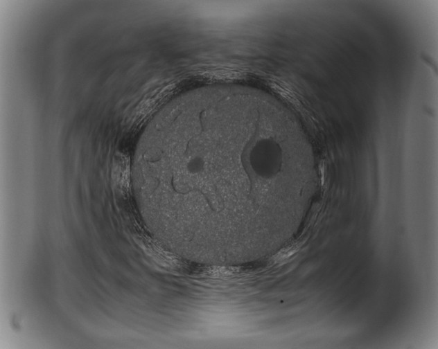 X0000100221251200806061336