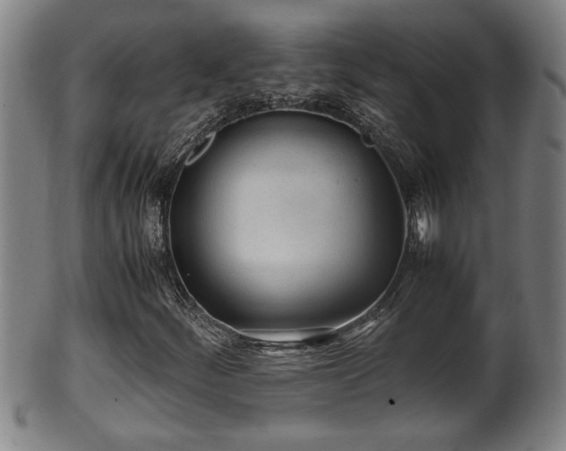 X0000100221252200806061336