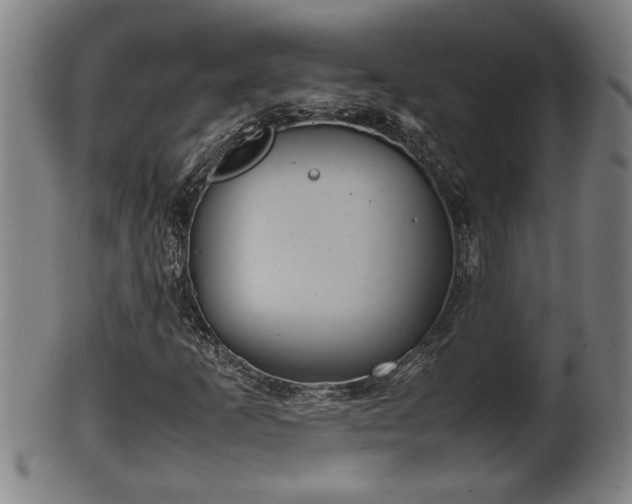 X0000100221253200806061336