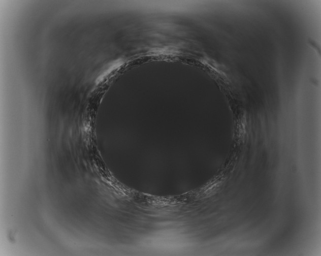 X0000100221254200806061336