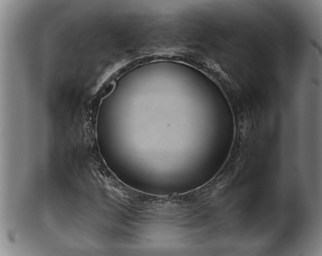 X0000100221256200806061336