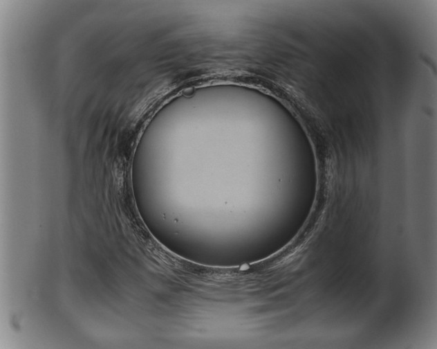 X0000100221257200806061336