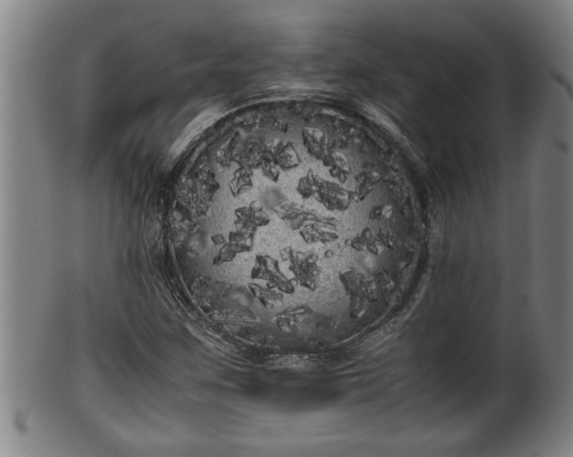 X0000100221259200806061336