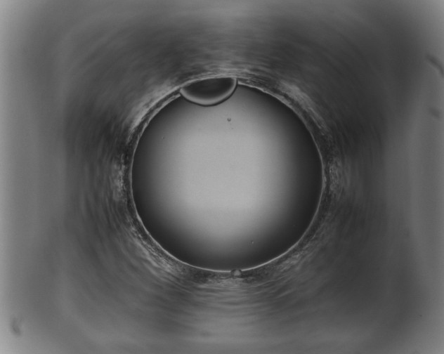 X0000100221260200806061336