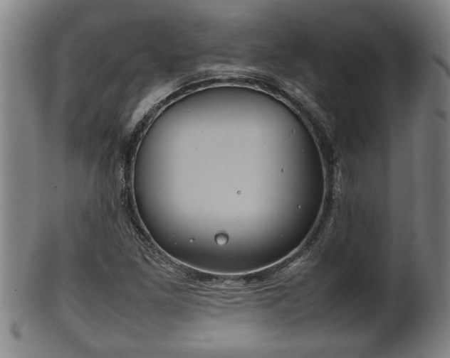 X0000100221261200806061336