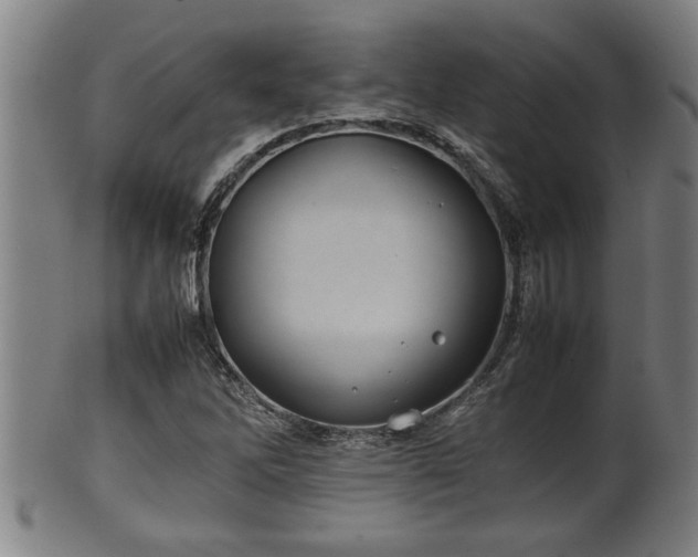 X0000100221262200806061336