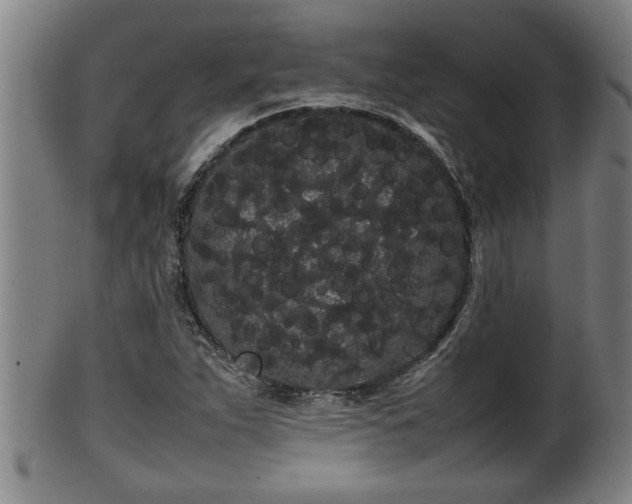 X0000100221263200806061336