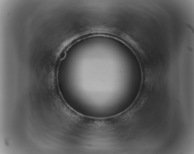 X0000100221264200806061336