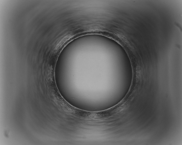 X0000100221265200806061336