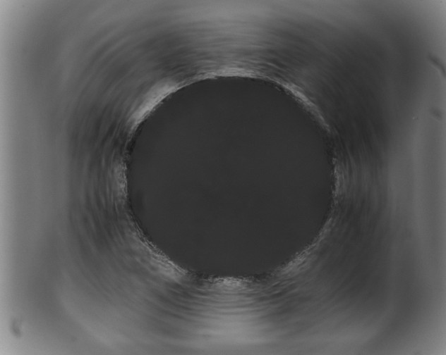 X0000100221266200806061336