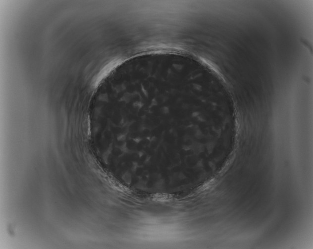 X0000100221267200806061336