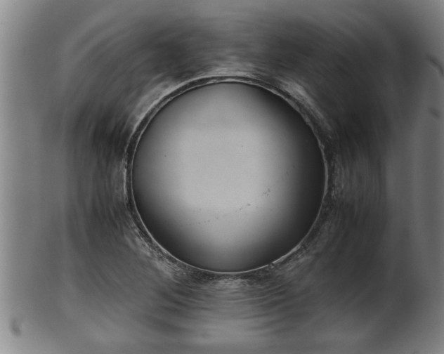 X0000100221268200806061336