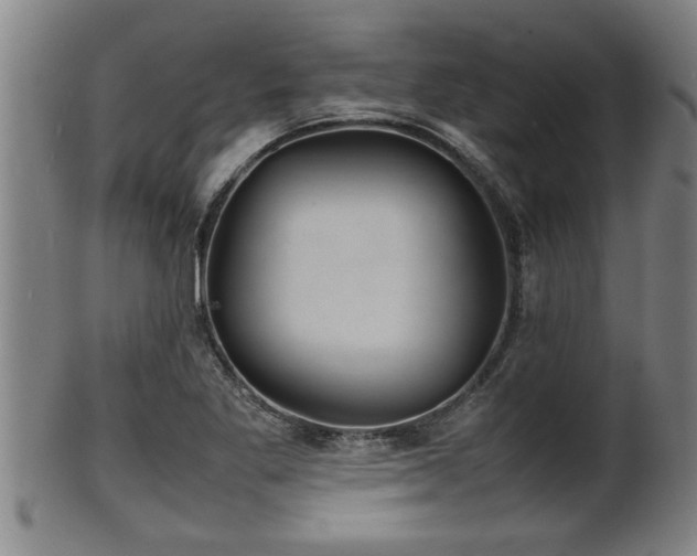 X0000100221269200806061336