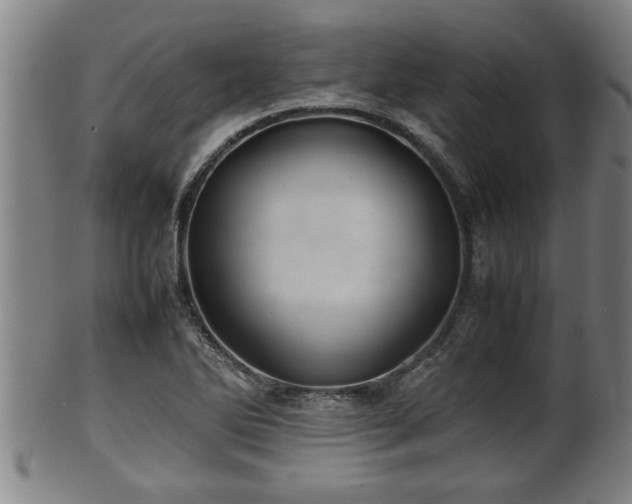 X0000100221270200806061336