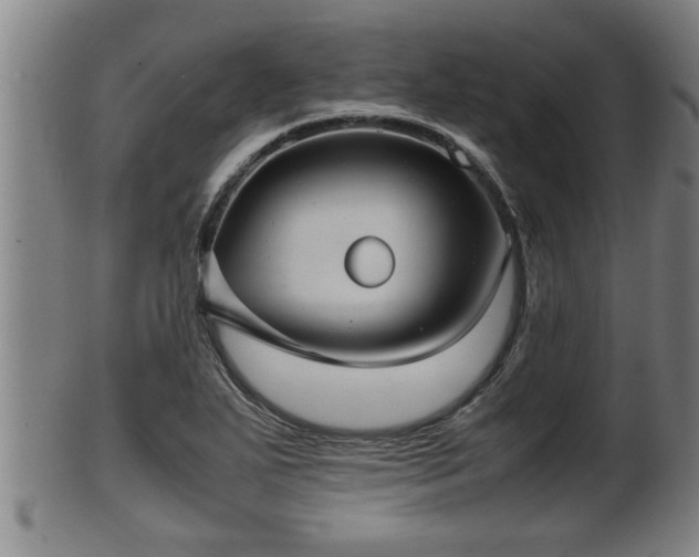 X0000100221271200806061336