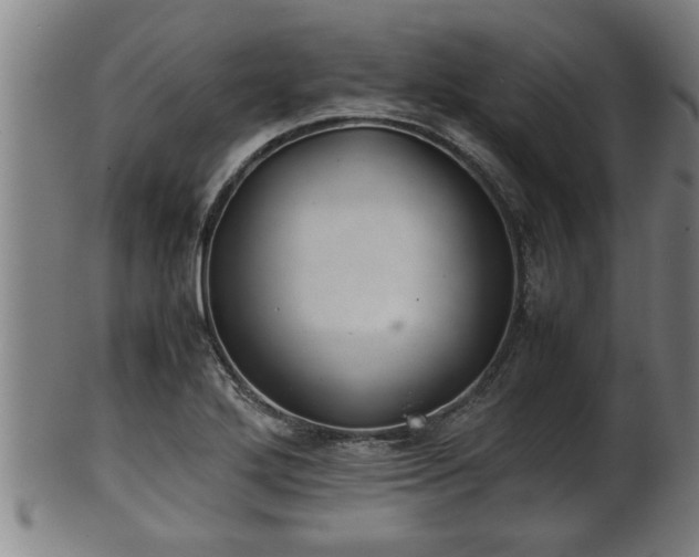 X0000100221272200806061336