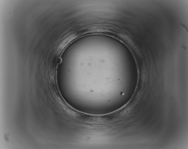 X0000100221273200806061336