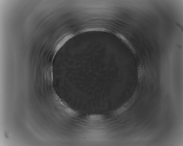 X0000100221274200806061336