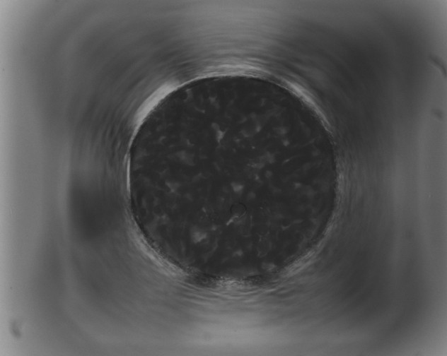 X0000100221275200806061336