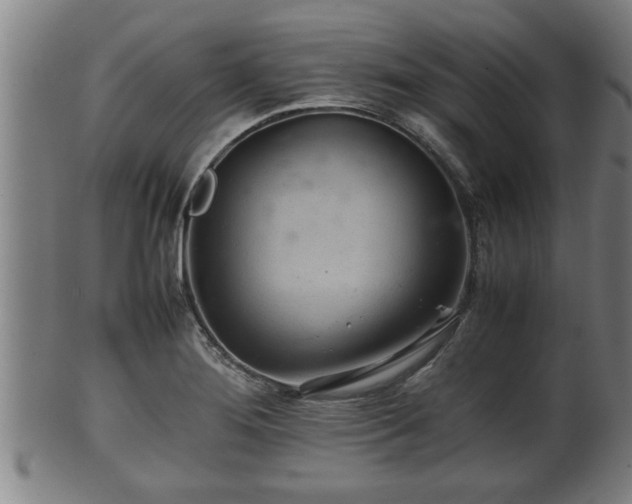 X0000100221276200806061336