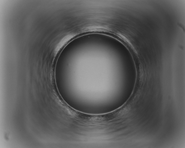 X0000100221277200806061336