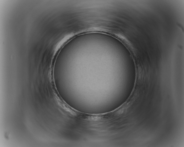 X0000100221278200806061336