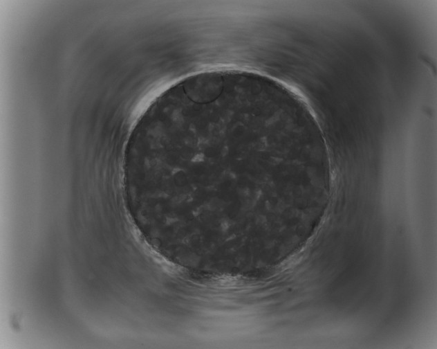 X0000100221279200806061336