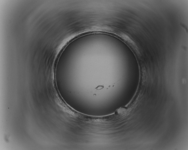 X0000100221280200806061336