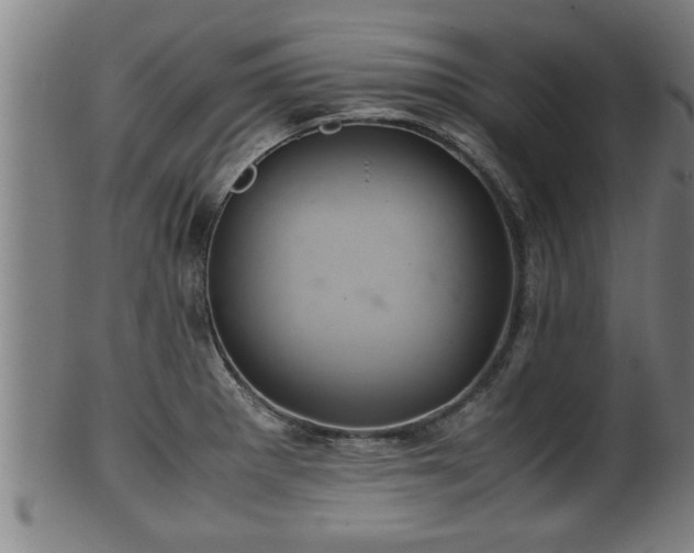 X0000100221281200806061336