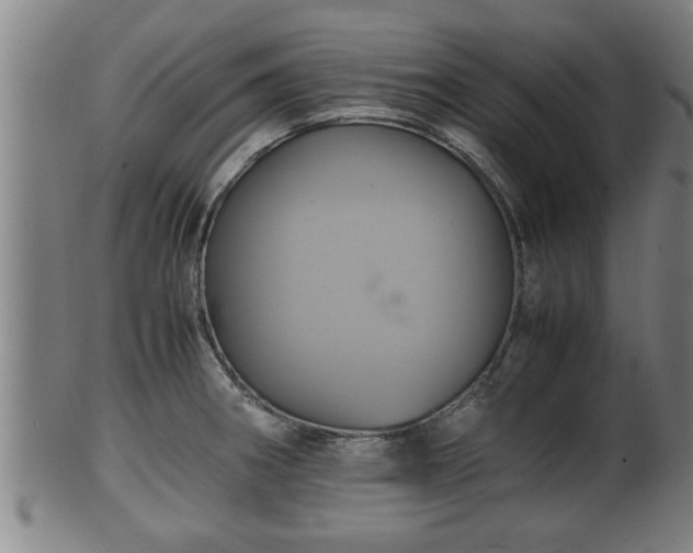 X0000100221282200806061336